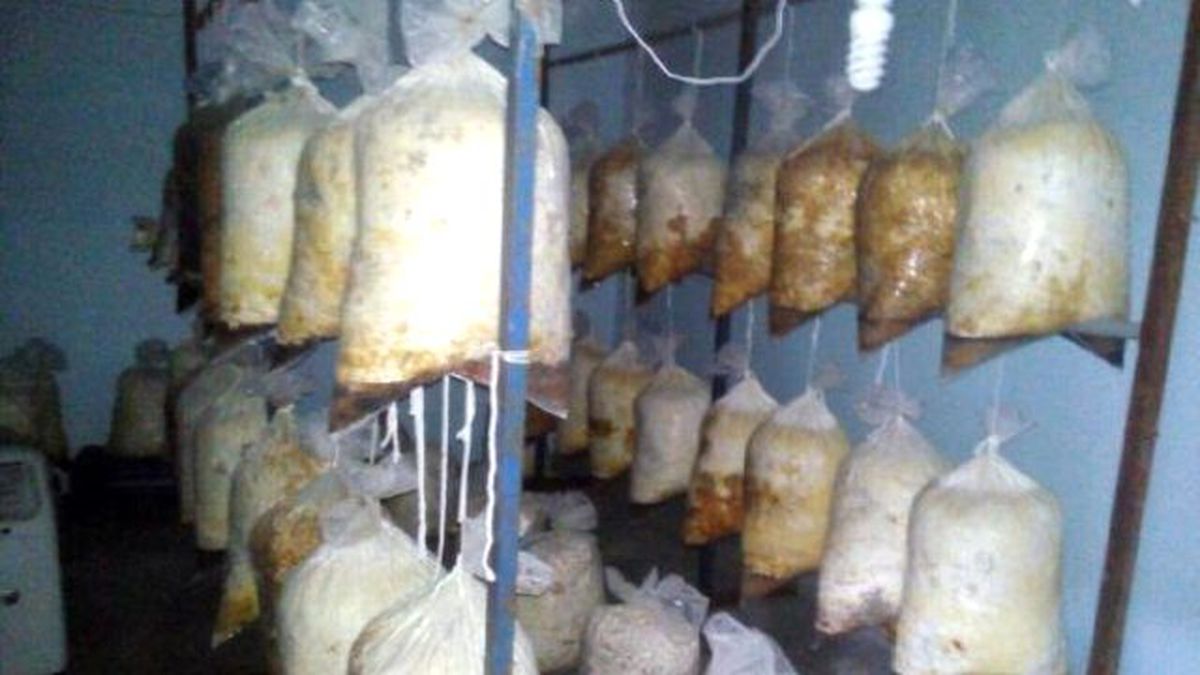 Diyarbakır\'da Çok Sayıda Mühimmat Ele Geçirildi