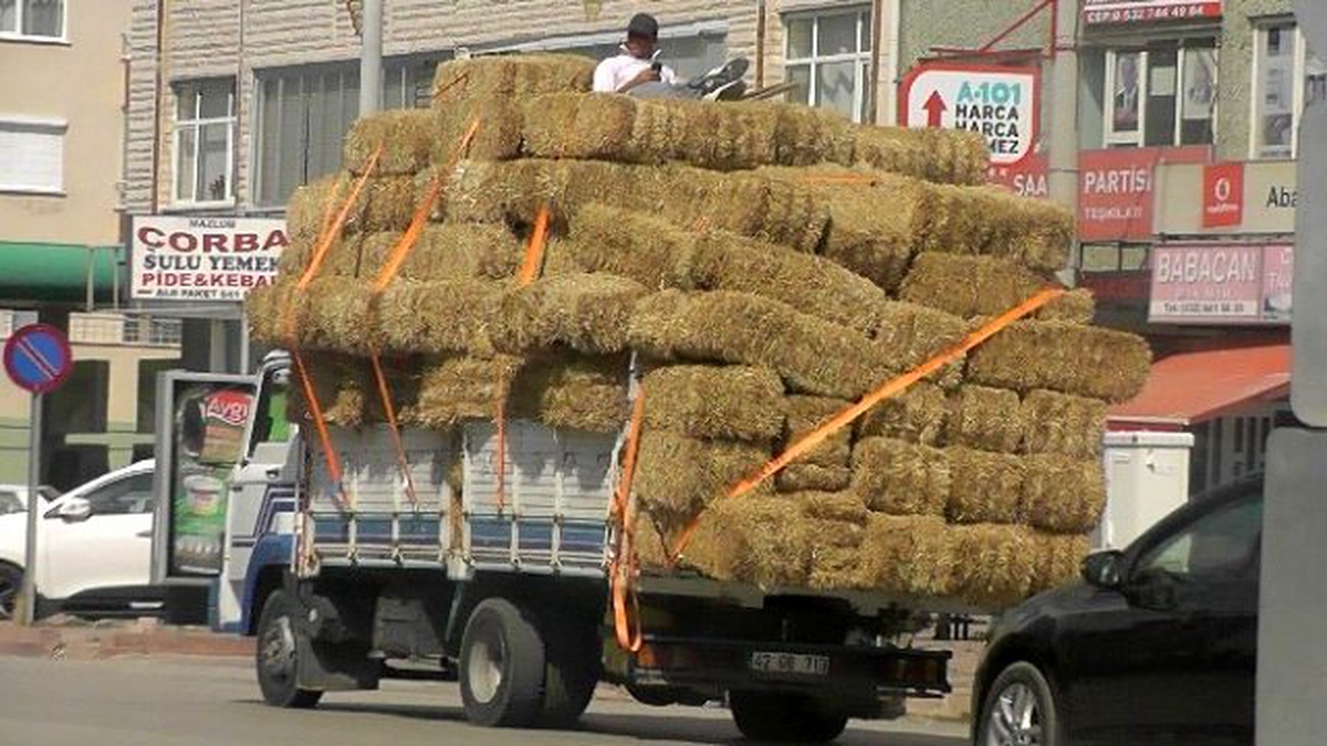 Saman Balyaları Üzerinde Tehlikeli Yolculuk
