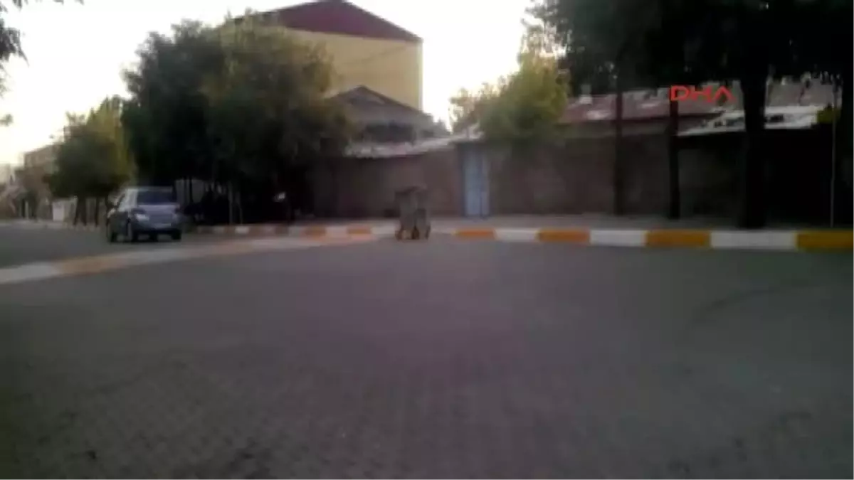Diyarbakır\'ın Lice İlçesi\'nde Sokağa Çıkma Yasağı İlan Edildi