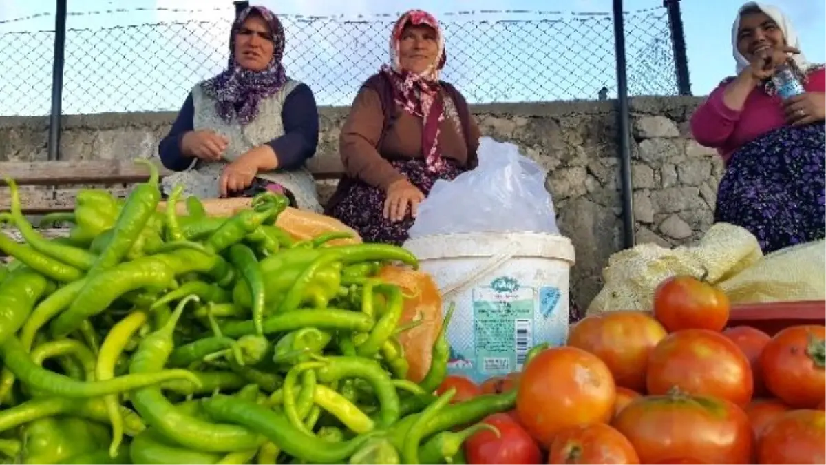 Helvadere\'nin Kadınları Aile Bütçelerine Katkı Sağlıyor