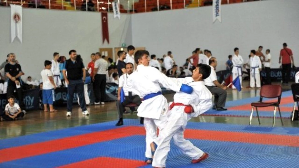 Karadeniz ve Hazar Ülkeleri Karate Şampiyonası Sona Erdi