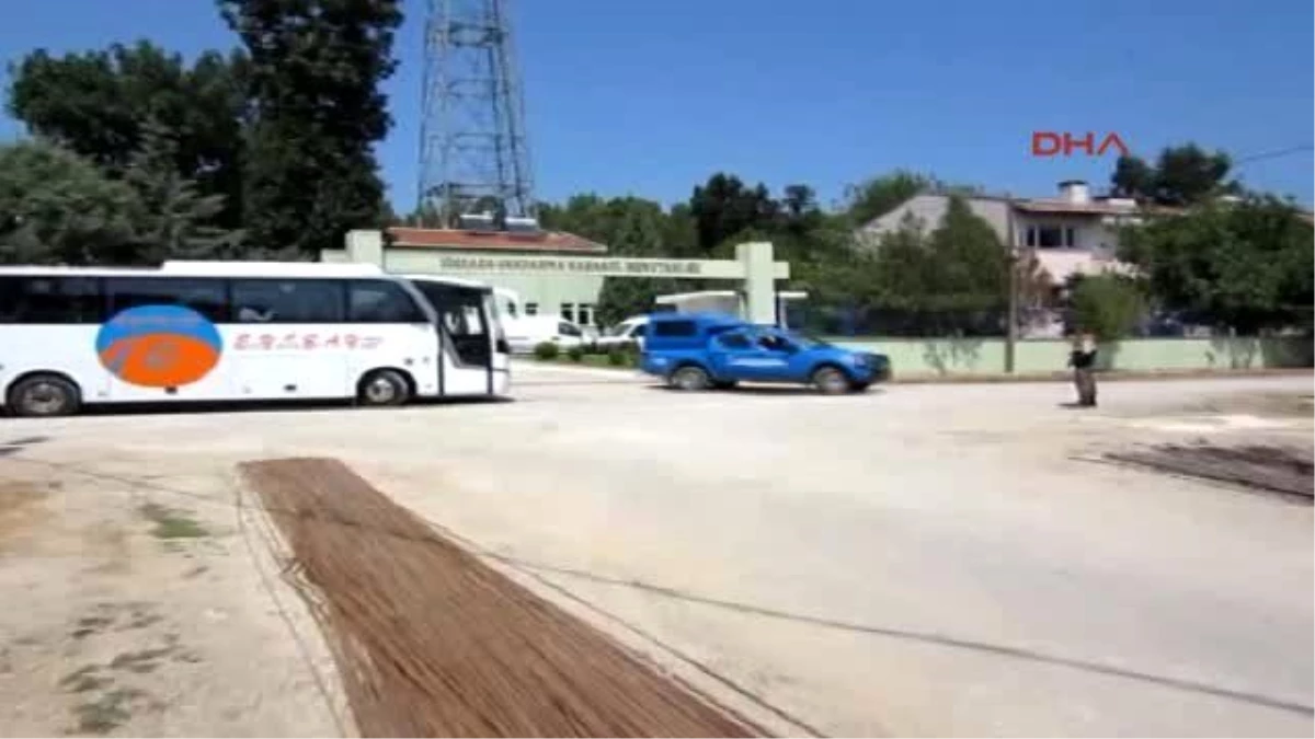 Kırklareli\'nde 5 Günde 293 Kaçak Yakalandı