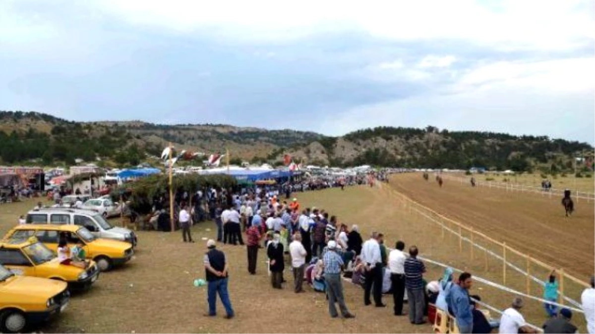 Taşköprü\'de At Yarışı Heyecanı