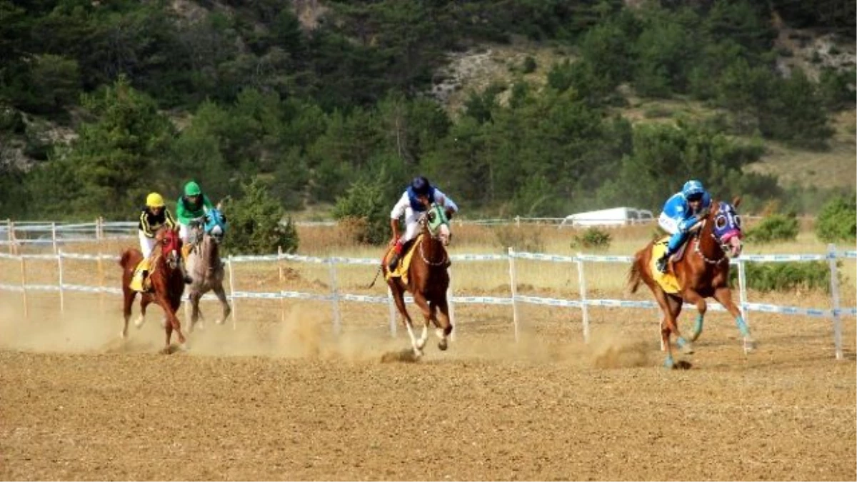 Taşköprü\'de At Yarışları Nefes Kesti