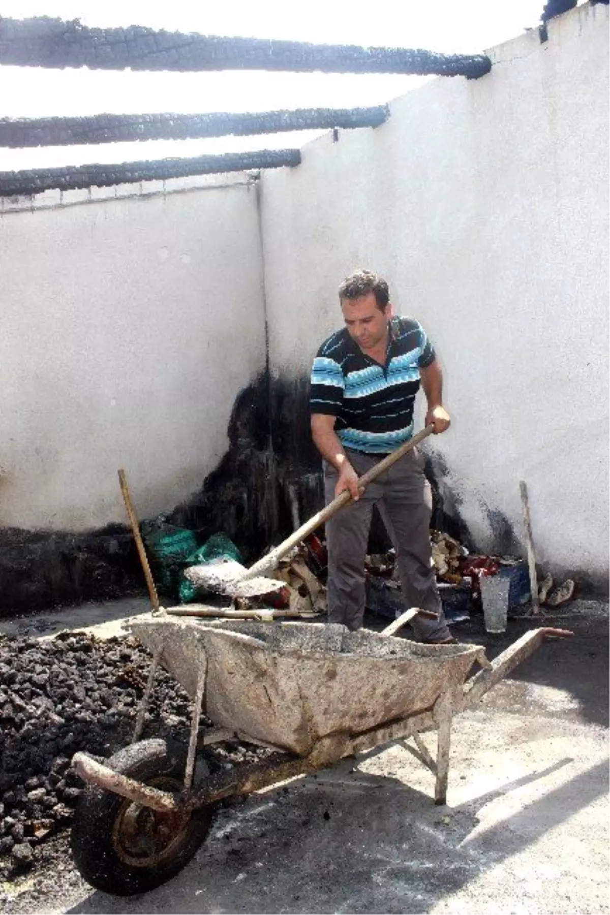 Vali Düzgün, Babanın Çağrısını Karşılıksız Bırakmadı