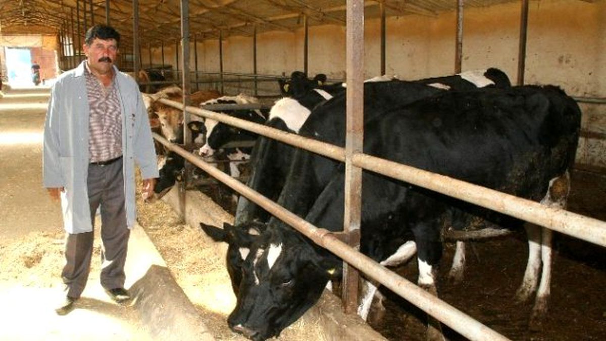 Yozgat Damızlık Hayvan Üreticiler Birliği Başkanı Selvi Açıklaması
