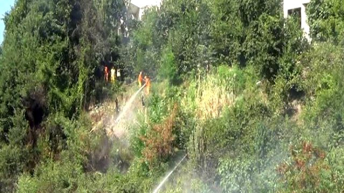 Zonguldak\'ta Çıkan Yangın Korkuttu