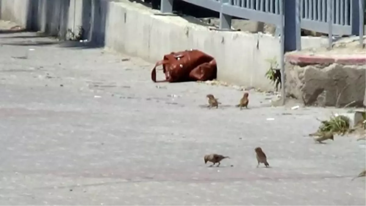 Bolu\'da İlkokulun Önünde Bomba Paniği