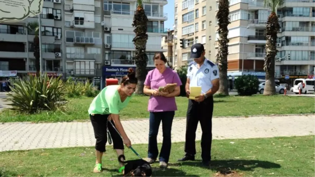 Can Dostlar için "Veteriner Zabıtası"