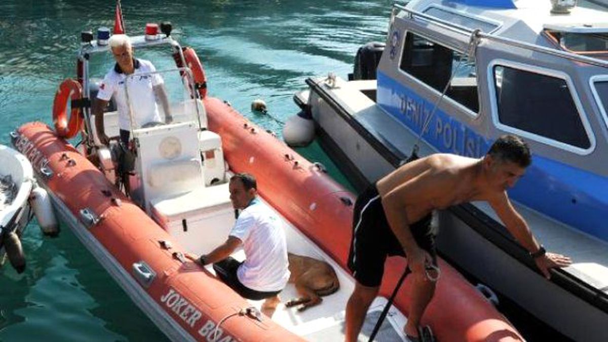 Falezlerden Sokak Köpeğini Attılar