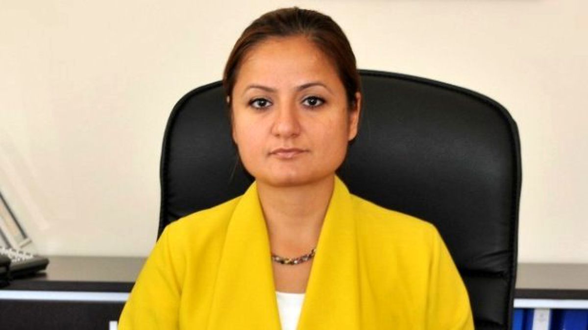 Hasta Çocuğu Almaya Giden Ambulansa Saldırı