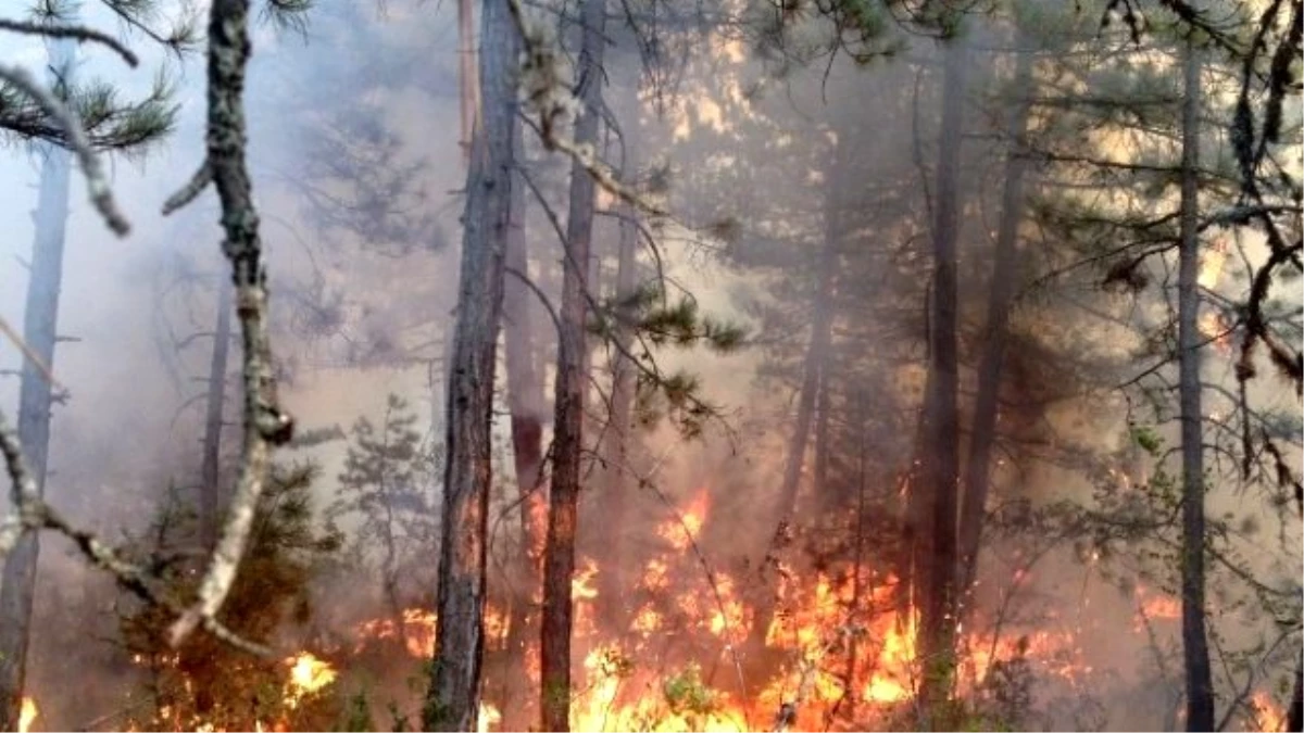 Karabük\'te Büyük Orman Yangını