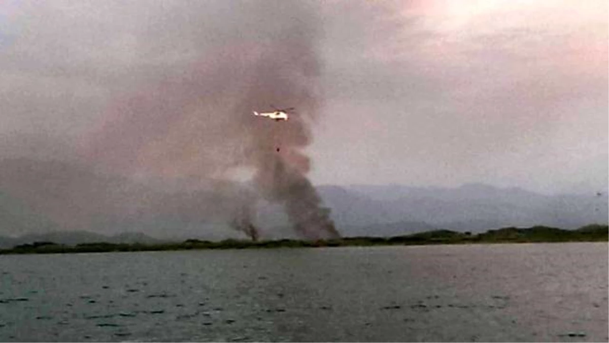Dalyan Kanalı Sazlık Alanda Yangın Çıktı