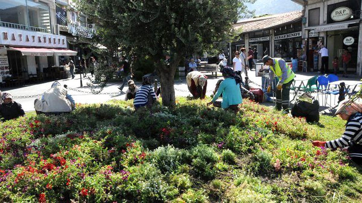 Hatay\'ın Her Yeri Çiçekleniyor