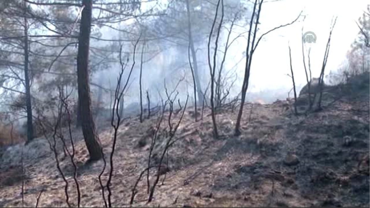 Kızılçam Ormanlarındaki Yangın Kontrol Altına Alındı