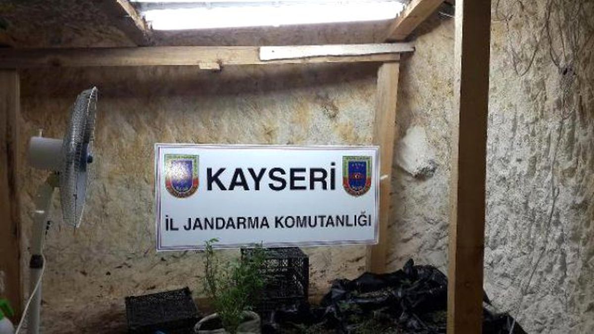 Mağarada Esrar Operasyonu: 1 Gözaltı