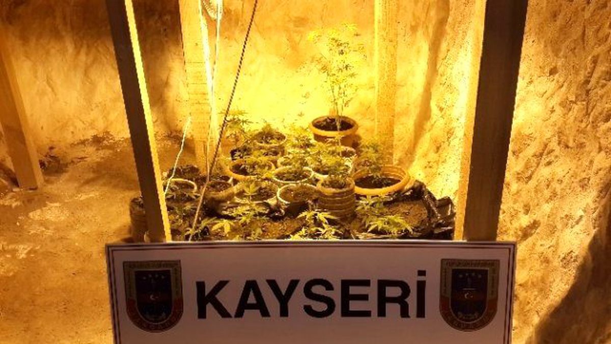 Mağarada Kenevir Üretimine Jandarma Baskını