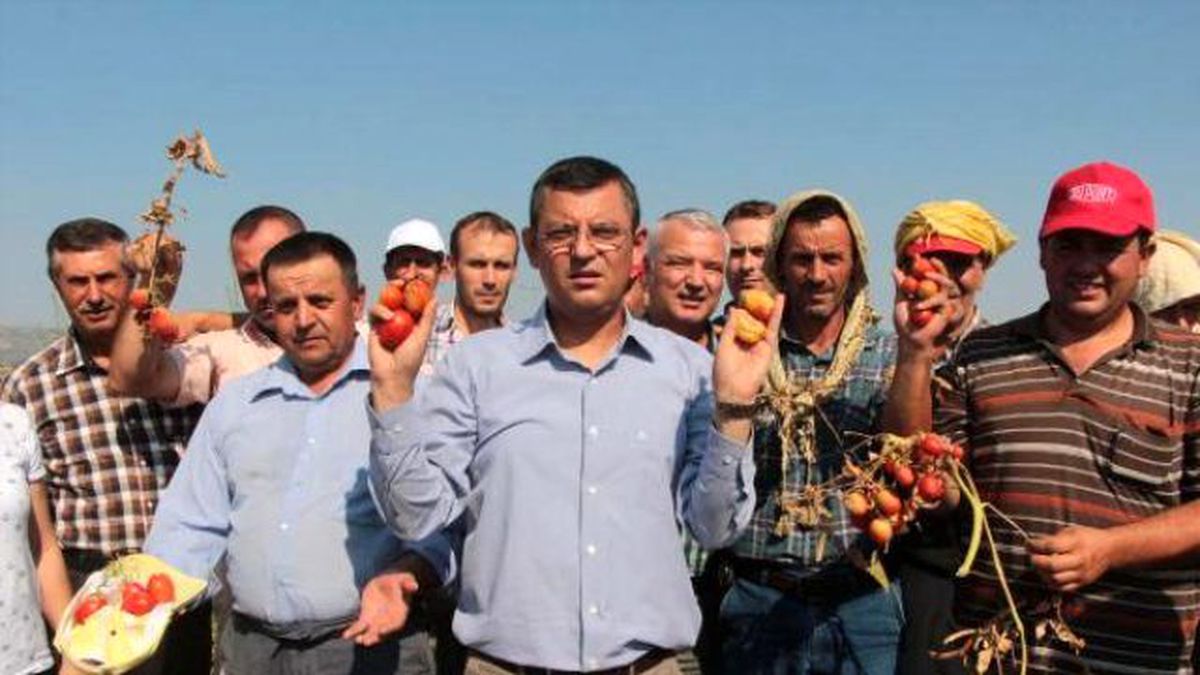 Manisa\'da Domates Üreticisi Dertli