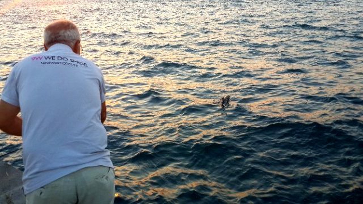 Balık Beklerken Oltaya Martı Takıldı