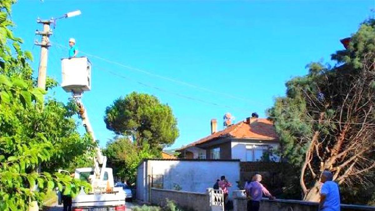 Rüzgarın Etkisiyle Ağaç Caminin Üzerine Devirdi
