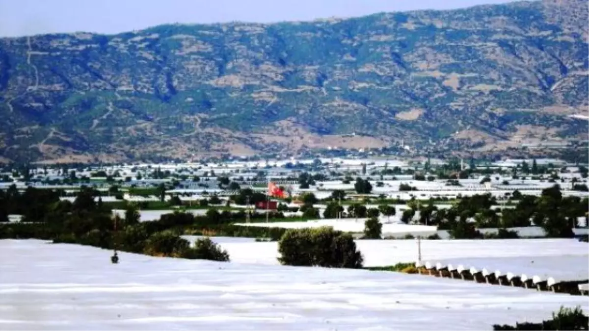 Sarıgöl Ovası Beyaza Büründü