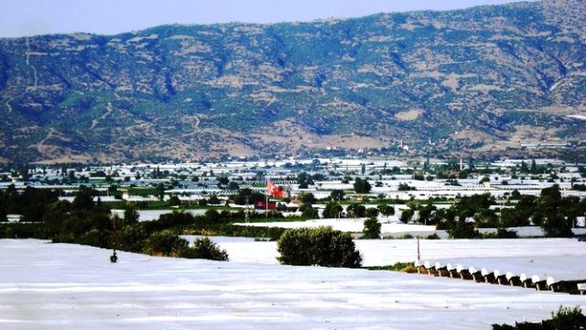 Sarıgöl Ovası Beyaza Büründü