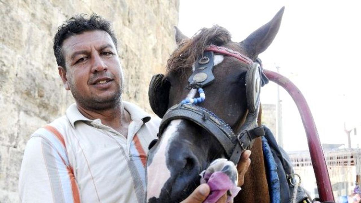 Antalyalı Faytonculardan Hayvanseverlerin Eylemine Tepki