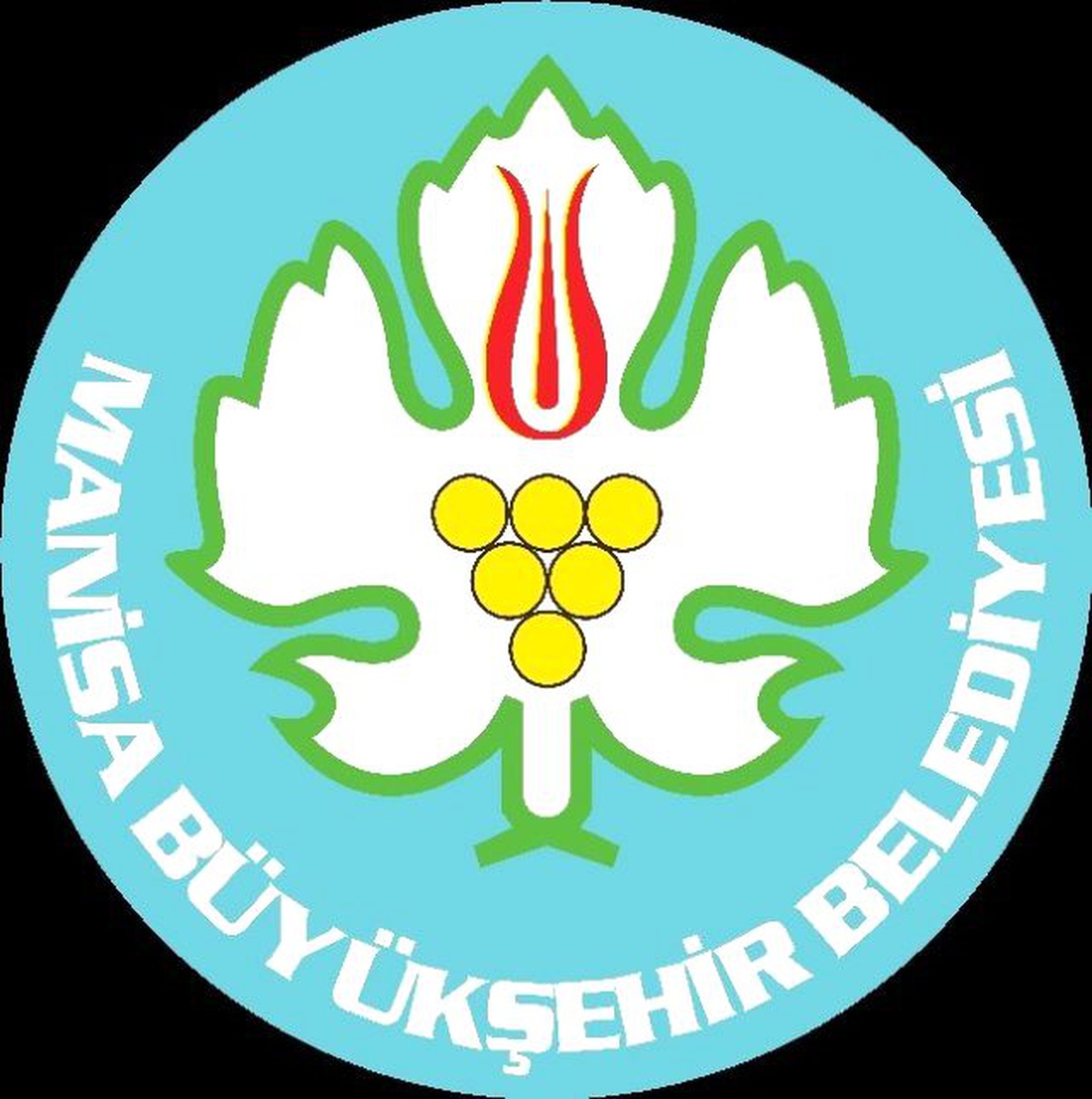 Büyükşehir\'den Sokak Hayvanlarıyla İlgili Açıklama