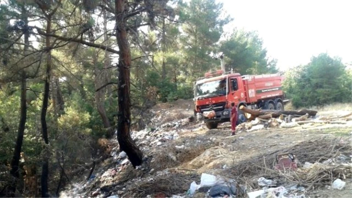 Çöplük Yangını Ormana Sıçramadan Söndürüldü