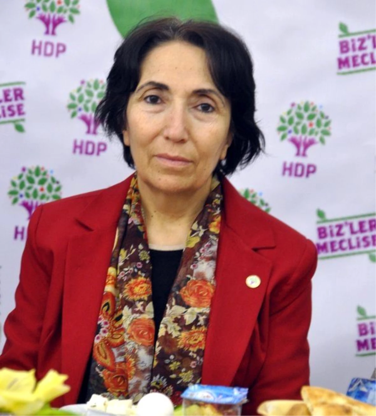 HDP Milletvekili Becerikli, Çıplak Ceset Olayını TBMM\'ye Taşıdı