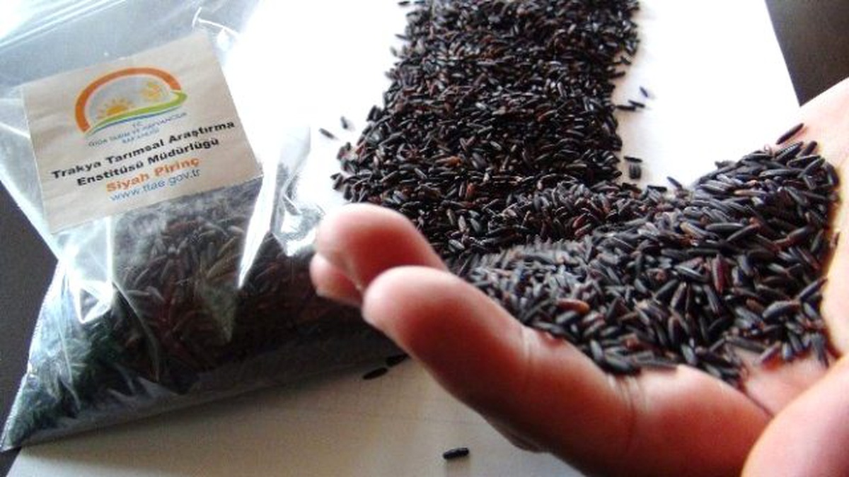 Karbonhidrat Oranı Düşük \'Diyet Pirinç\' Çıktı