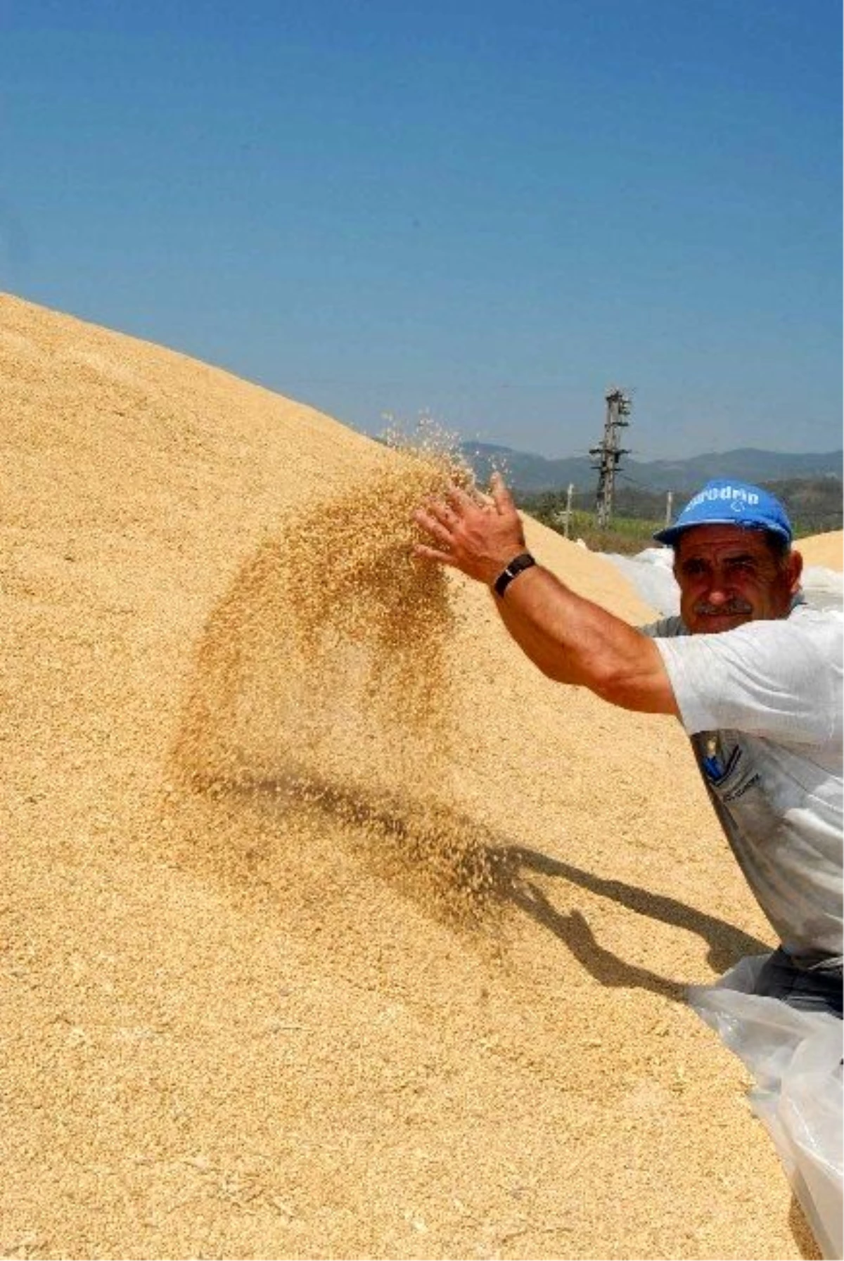 Ortaca Tigem\'den Buğday İhalesi