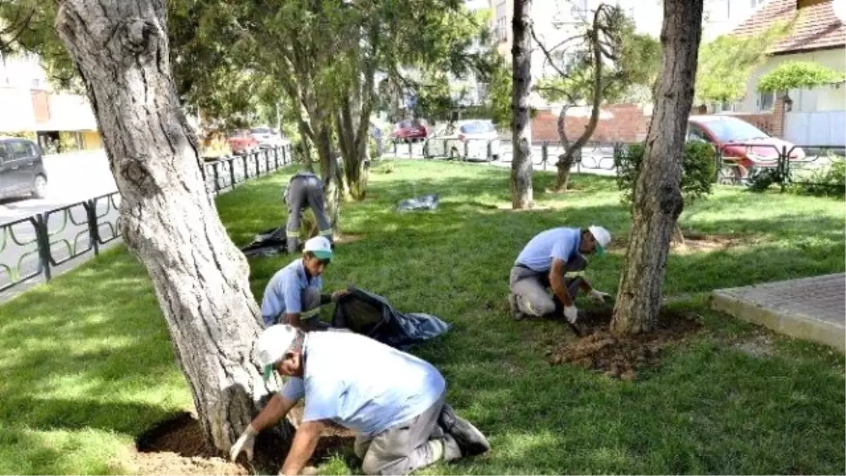 Şehit Kıdemli Yarbay Suat Coşkunalp Parkı Yenileniyor