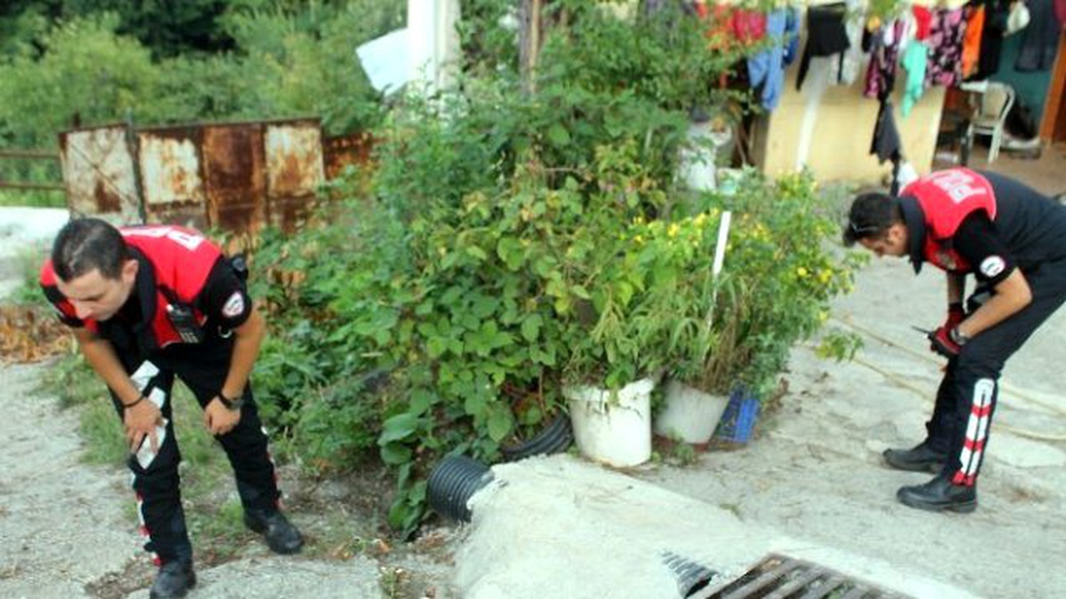 Tartıştığı Ağabeyini Tüfekle Yaraladı, Sonra Hastaneye Götürdü