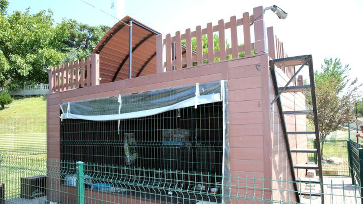 Veteriner İşleri Müdürlüğü\'nden Yoğun Mesai