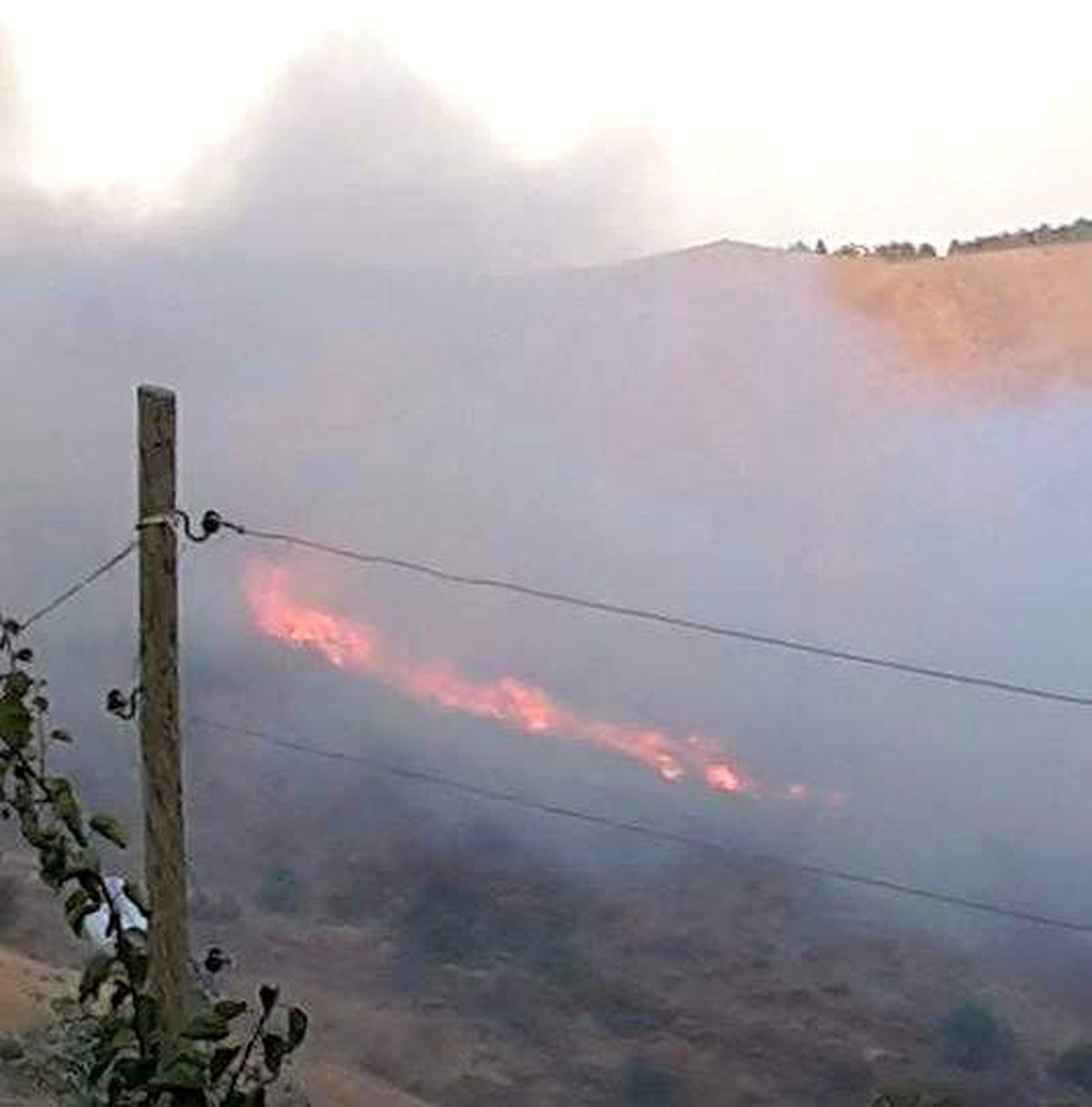 Adıyaman\'da Orman Yangını