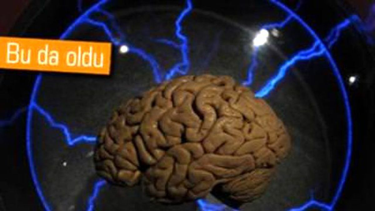Bilim Adamları Laboratuvarda İnsan Beyni Üretti