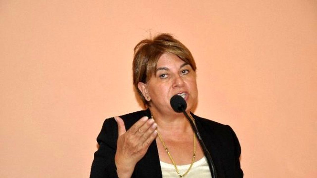 Chpli Vekil Türkmen\'den Terör Çıkışı