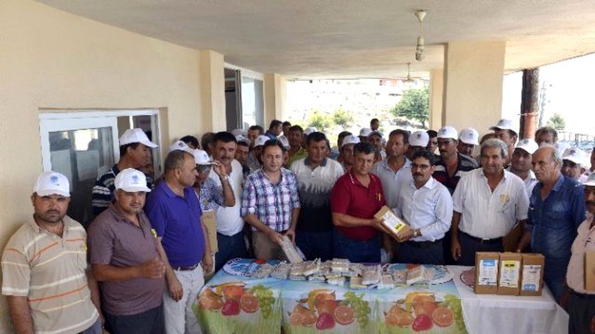 Erdemli\'de Örtü Altı Domates Yetiştiricilerine 53 Bin Tuzak Dağıtıldı