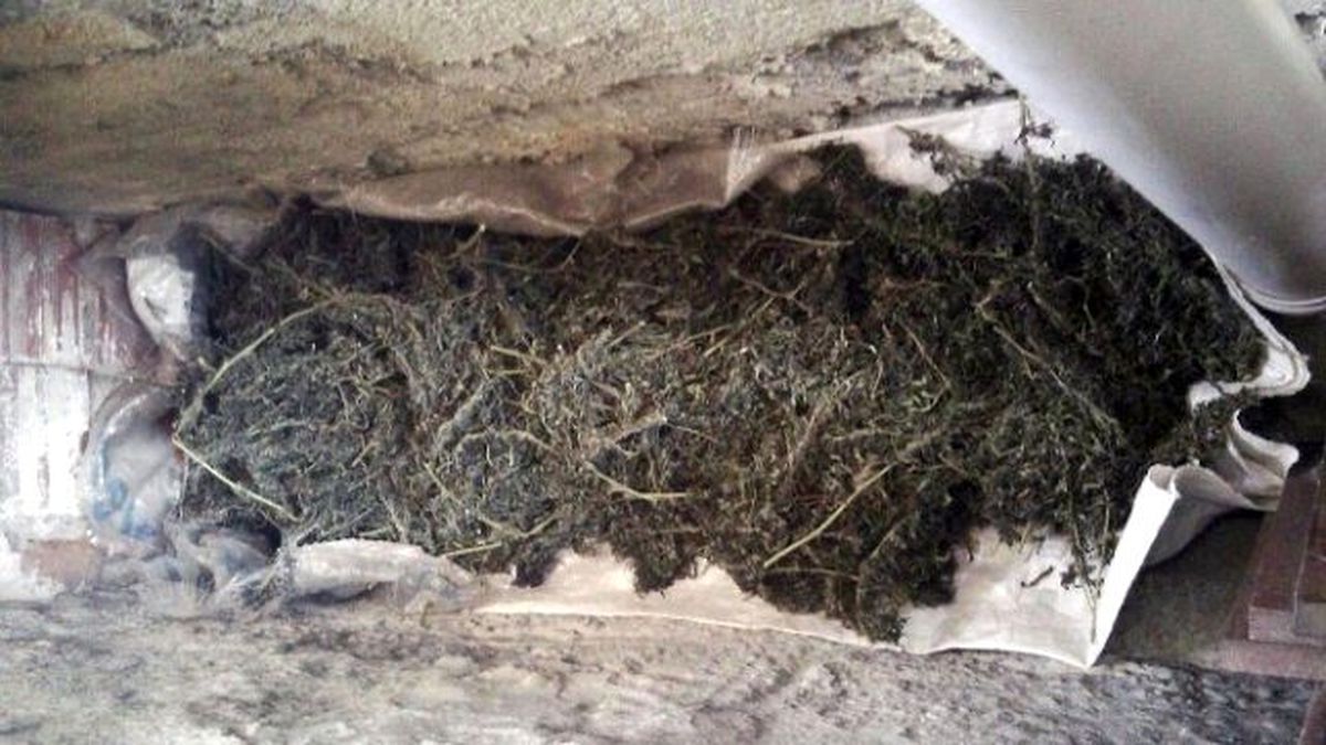 İzmir\'de Şüpheli Şahsın Evinden Beş Kilo Esrar Çıktı