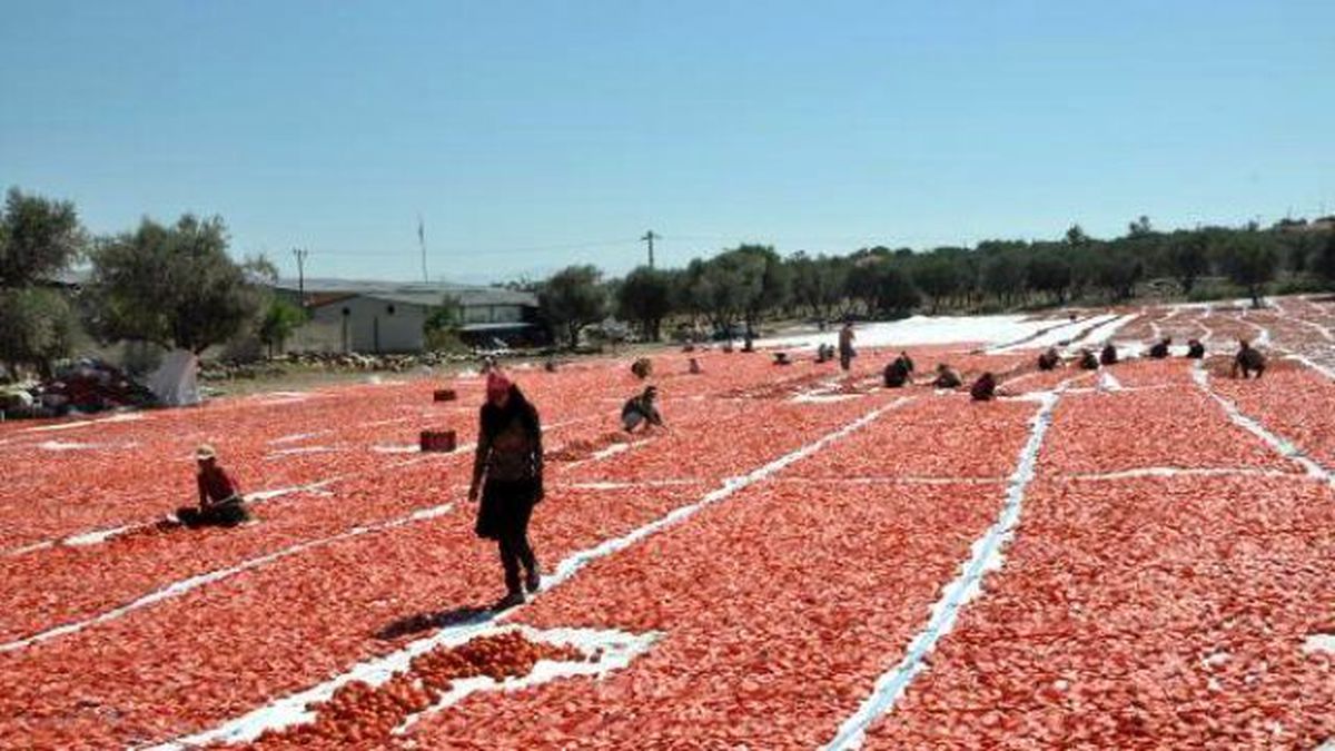 Syrian Migrants Replace Seasonal Workers From Southeastern Turkey Amid Security Tension