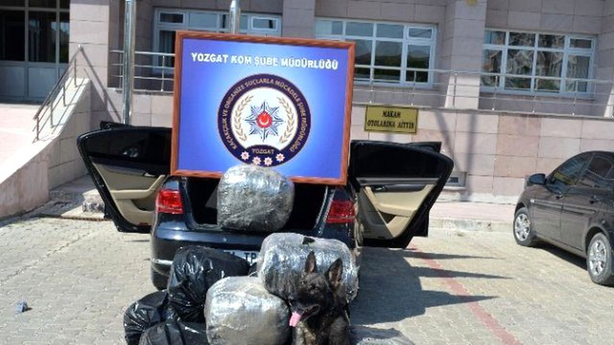 Yozgat\'ta 127 Kilo Esrar Ele Geçirildi