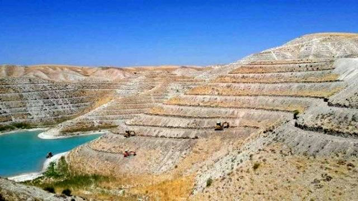 Atatürk Baraj Sahili Boydan Boya Meyve Bahçesi Oluyor