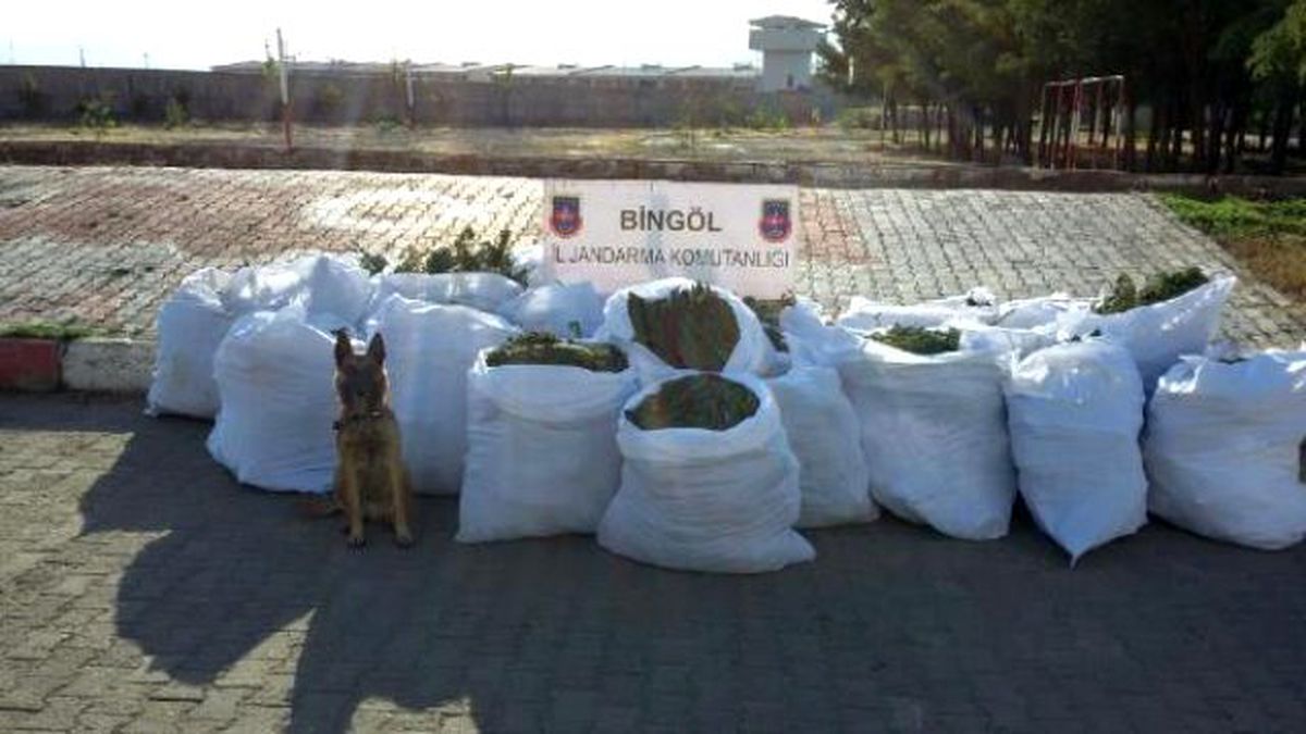 Bingöl\'de Piyasa Değeri 1 Milyon 600 Bin Lira Olan Uyuşturucu Madde Ele Eçirildi