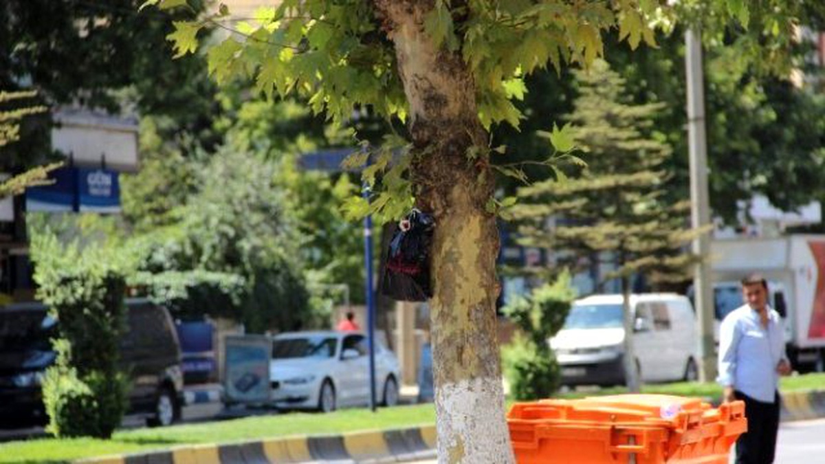 Ekmek Kırıntıları Bomba Paniğine Neden Oldu