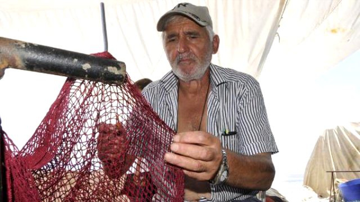 Ereğlili Balıkçılar Bu Sezondan Umutlu