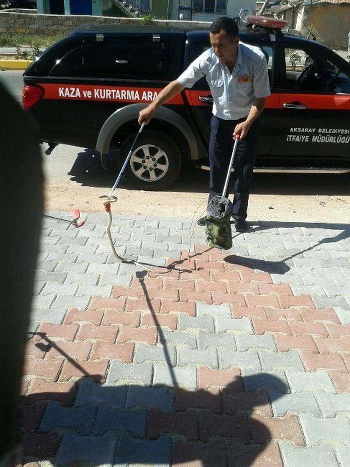 Evde Yılan Paniği