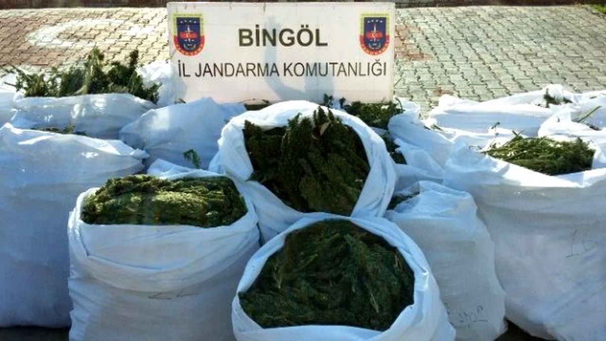 Jandarmadan 1 Buçuk Milyonluk Esrar Darbesi