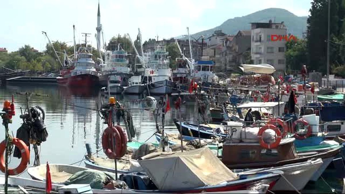 Kocaeli Ereğlili Balıkçılar Bu Sezondan Umutlu