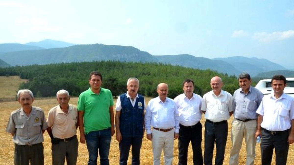 Milletvekili Kahveci, Orman Yangını Çıkan Bölgede İncelemelerde Bulundu